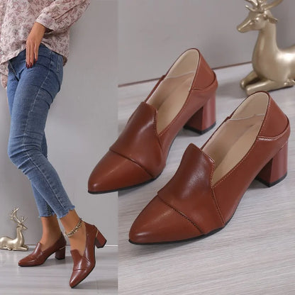 Pointed Toe High Heels Pumps